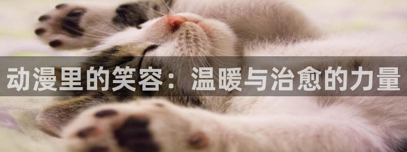 囧次元正版入口