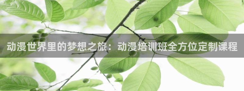 囧次元最新版本下载官方正版