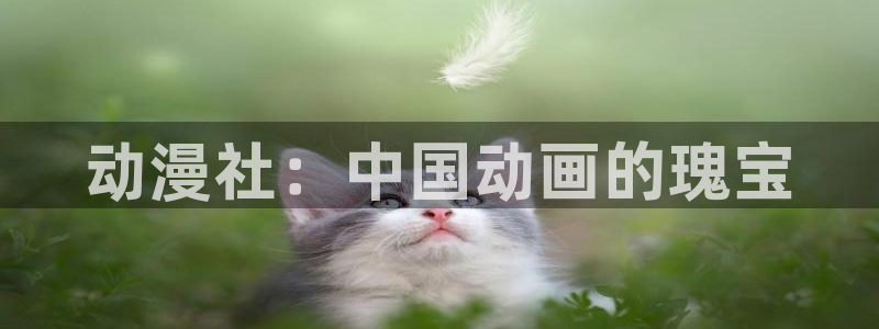 免费下载囧次元app