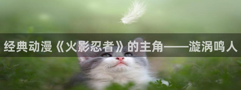 囧次元链接