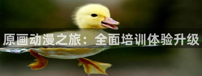 囧次元官网官方入口
