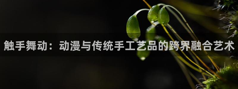 囧次元tv版