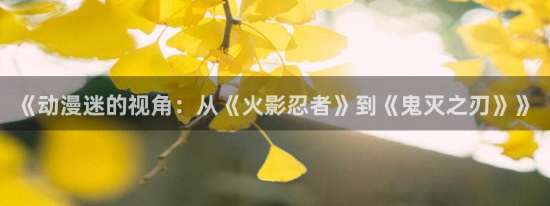 最新版囧次元app下载