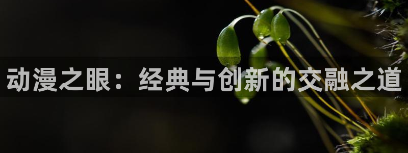 jcy.囧次元官网