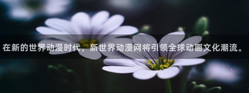 囧次元最新版官网下载