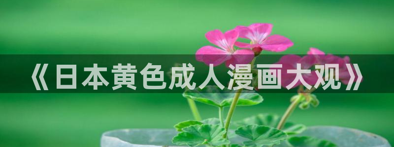 囧次元囧次元