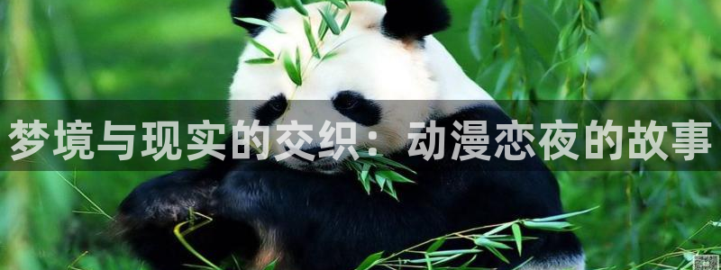 囧次元下载正版下载