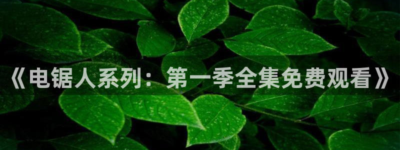 囧次元新版本下载