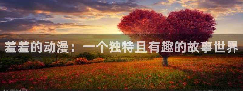 囧次元下载正版下载