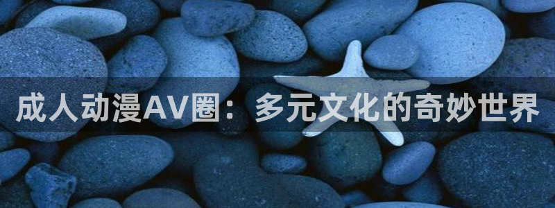 囧次元下载官方正版最新版