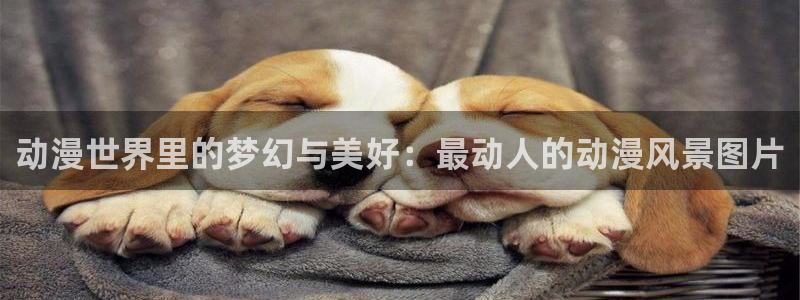 囧次元官方正版网站