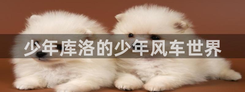 正版囧次元