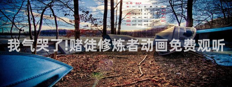 囧次元最新版官方正版