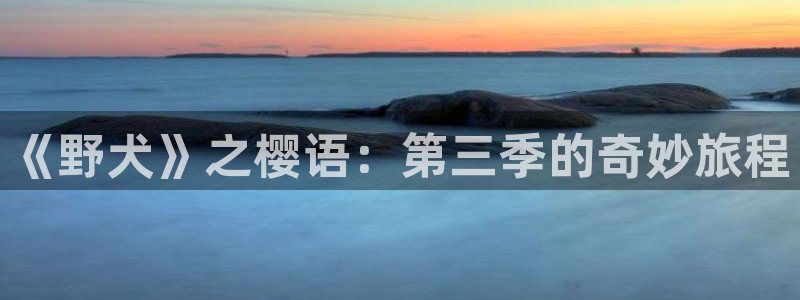 囧次元app官方下载入口
