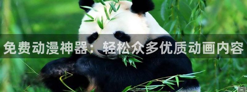 囧次元app正版下载官网