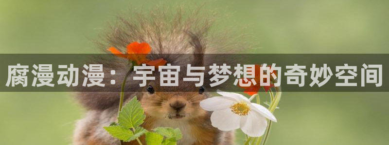 囧次元app官网下载