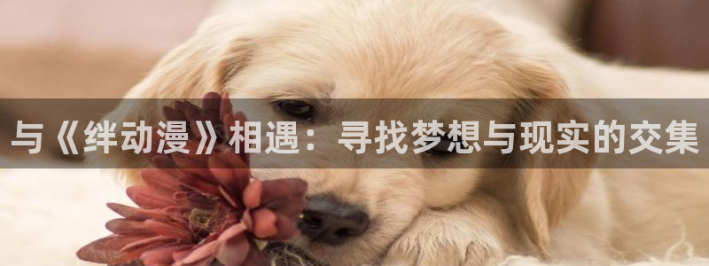免费下载囧次元：与《绊动漫》相遇：寻找梦想与现实的交集