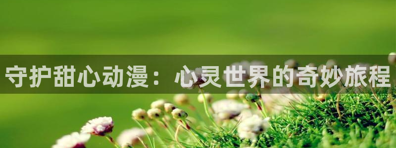 囧次元老版本：守护甜心动漫：心灵世界的奇妙旅程