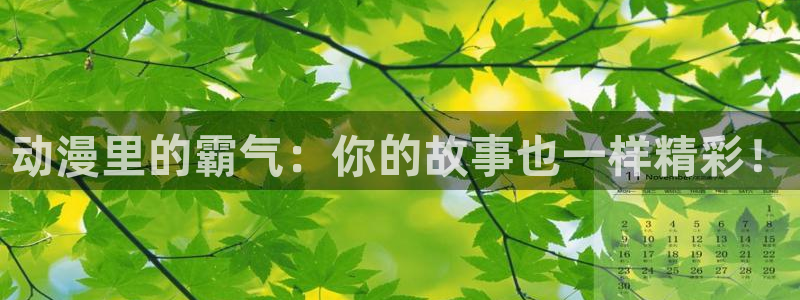 囧次元下载网站：动漫里的霸气：你的故事也一样精彩！