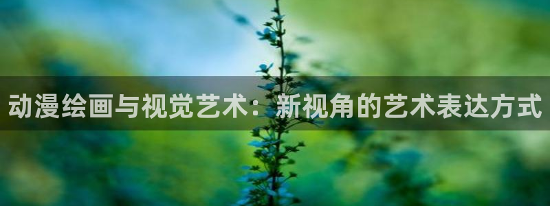 囧次元.：动漫绘画与视觉艺术：新视角的艺术表达方式