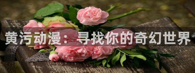 囧次元动漫app官网：黄污动漫：寻找你的奇幻世界