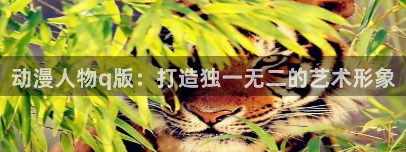 囧次元的官方网站
