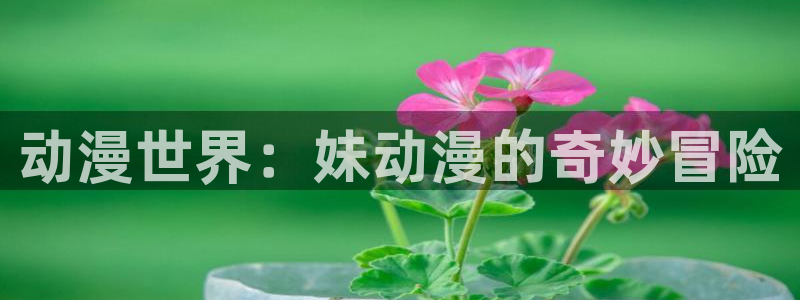 囧次元 下载