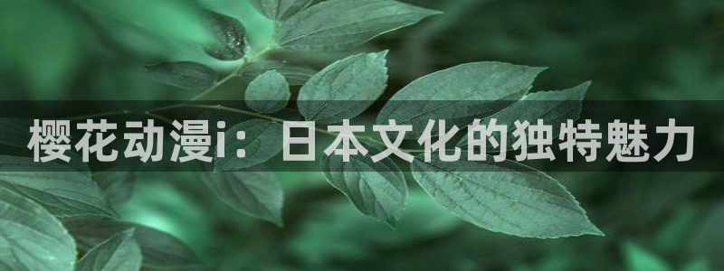囧次元官方网站入口安卓版