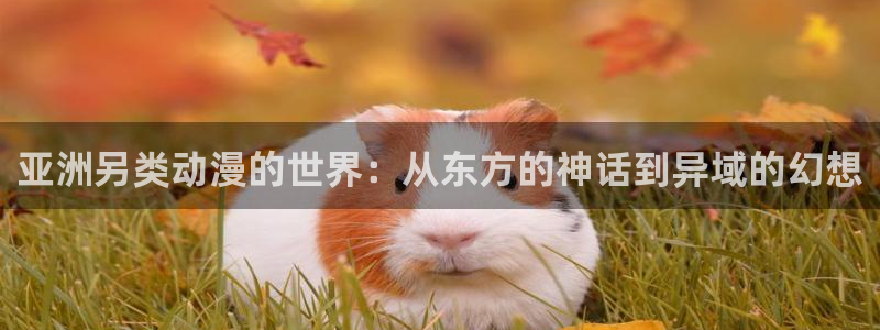 囧次元免费下载官方正版