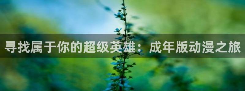 囧次元在线