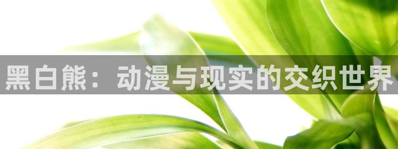 囧次元app官方入口