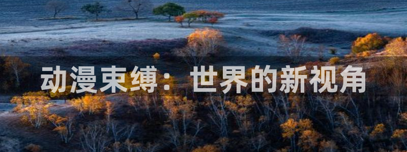 囧次元app下载官网版安卓