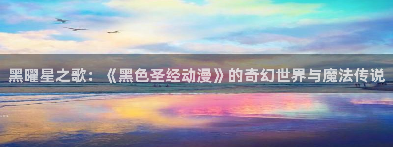 囧次元官方正版网站：黑曜星之歌：《黑色圣经动漫》的奇幻世界与魔法传说