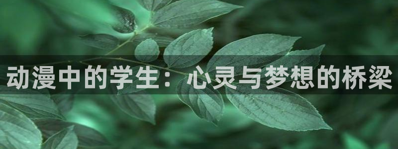 囧次元下：动漫中的学生：心灵与梦想的桥梁