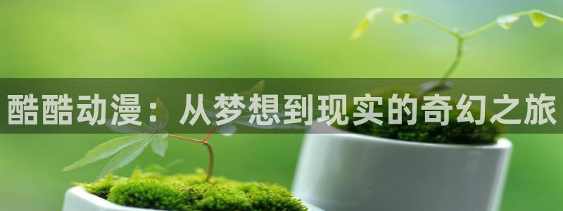 囧次元下载官方正版最新版：酷酷动漫：从梦想到现实的奇幻之旅