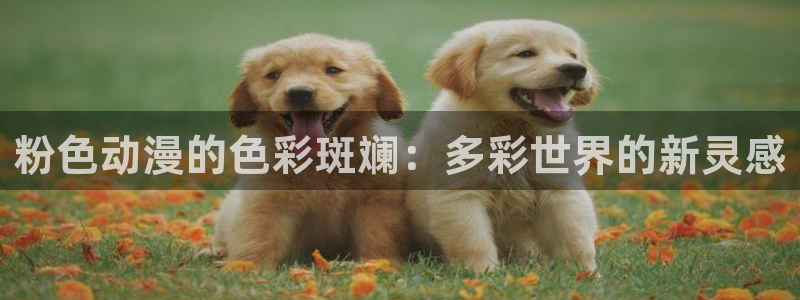 囧次元app下载官网版：粉色动漫的色彩斑斓：多彩世界的新灵感