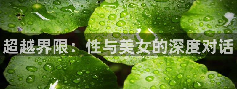 囧次元网页：超越界限：性与美女的深度对话