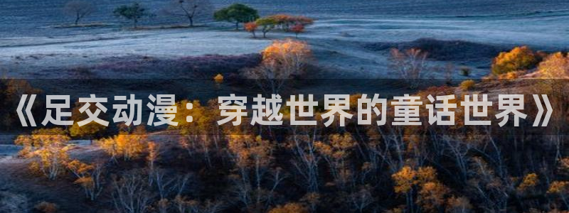 囧次元新版本下载：《足交动漫：穿越世界的童话世界》