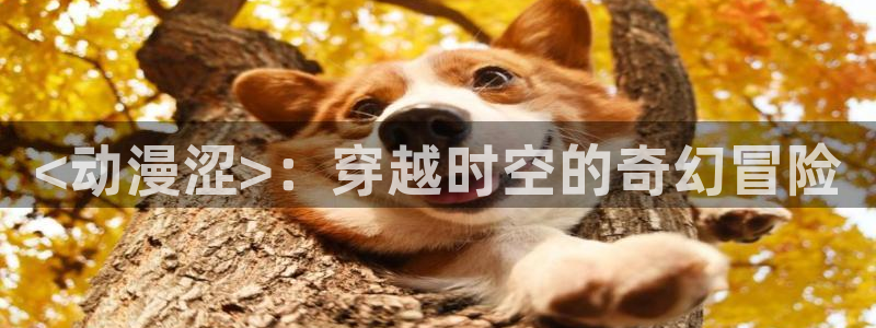 囧次元官方网站：<动漫涩>：穿越时空的奇幻冒险