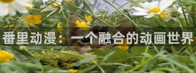 囧次元正版app：番里动漫：一个融合的动画世界