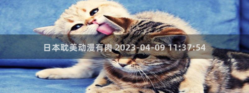 囧次元下载安装：日本耽美动漫有肉 2023-04-09 11:37:54