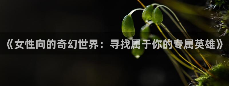 囧次元手机号注册入口：《女性向的奇幻世界：寻找属于你的专属英雄》
