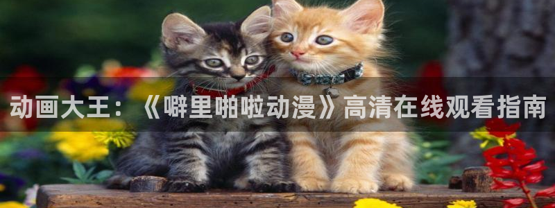 囧次元的官方网站：动画大王：《噼里啪啦动漫》高清在线观看指南