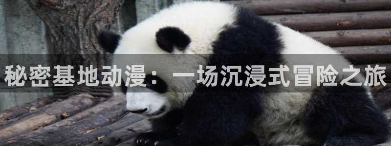 囧次元下载免费版：秘密基地动漫：一场沉浸式冒险之旅