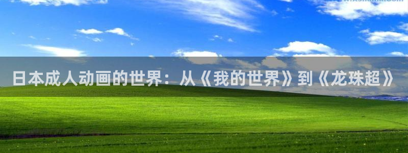 囧次元动漫下载app官网：日本成人动画的世界：从《我的世界》到《龙珠超》