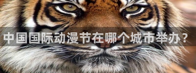 囧次元正版下载安装：中国国际动漫节在哪个城市举办？
