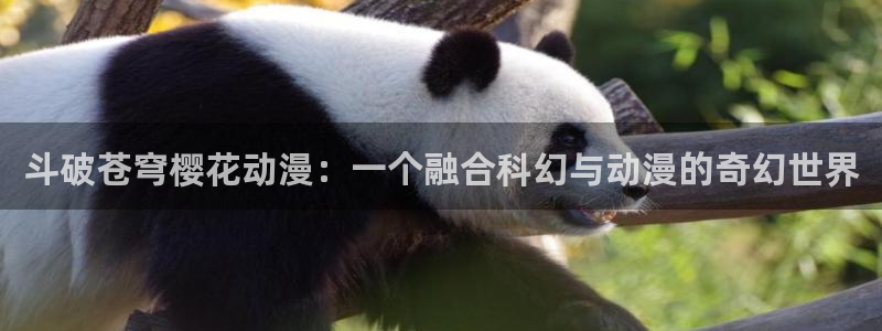 囧次元动漫官网入口：斗破苍穹樱花动漫：一个融合科幻与动漫的奇幻世界