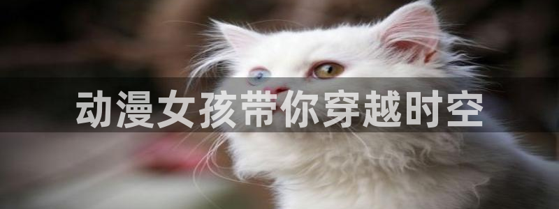 囧次元ios苹果版网站入口：动漫女孩带你穿越时空