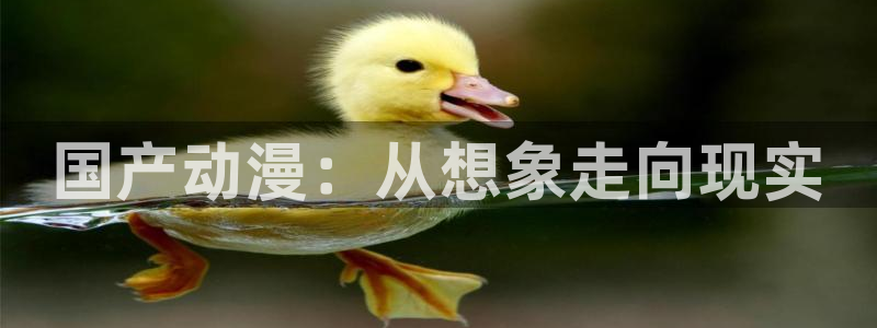 囧次元app官方下载：国产动漫：从想象走向现实