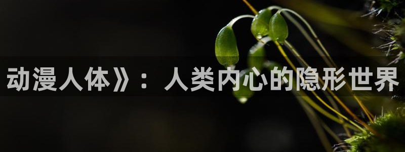 囧次元官方正版下载入口：动漫人体》：人类内心的隐形世界